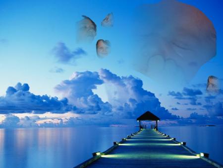 voila la famille de mon tonton yoyo